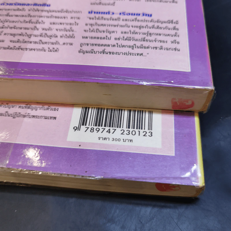 บัวแก้ว 2 เล่มจบ - โสภาค สุวรรณ รูปที่ 13