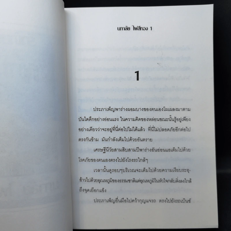 รักข้ามภพ - นภาลัย ไผ่สีทอง รูปที่ 9