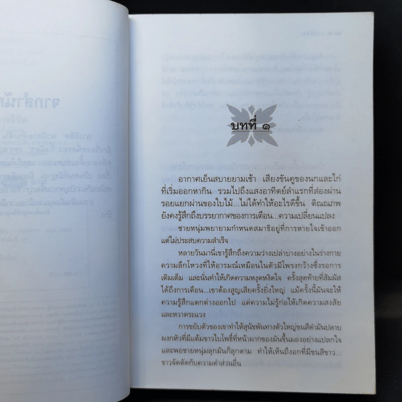 ลางลิขิต - กิ่งฉัตร รูปที่ 9