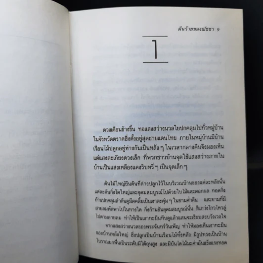 ฝันร้ายของณัชชา - ธยานี รูปที่ 11