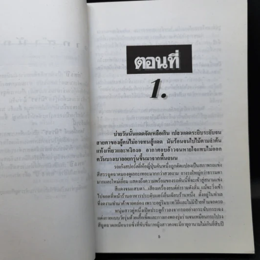 ศพ 5 ปี - นิรชร รูปที่ 9