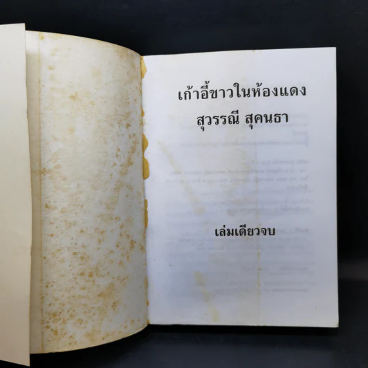 เก้าอี้ขาวในห้องแดง - สุวรรณี สุคนธา รูปที่ 8