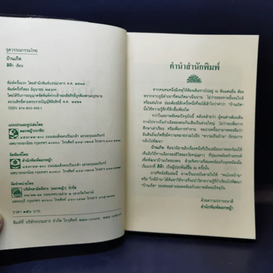 บ้านเกิด - สีฟ้า รูปที่ 8