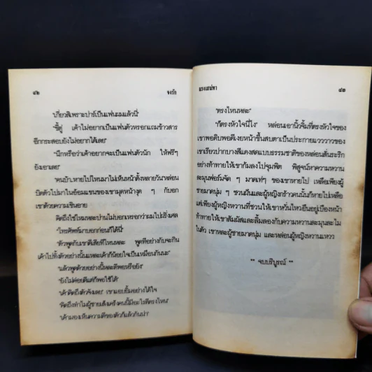 น้ำค้างกลางหาว - วลัย นวาระ รูปที่ 11