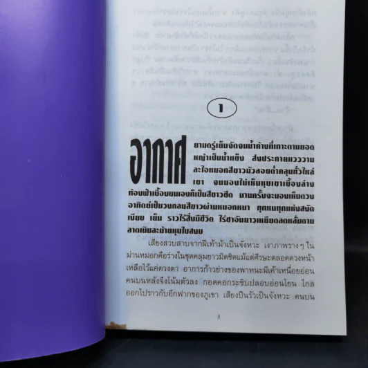 ตราบแผ่นดินกลบหน้า 2 เล่มจบ - โรสลาเรน รูปที่ 10