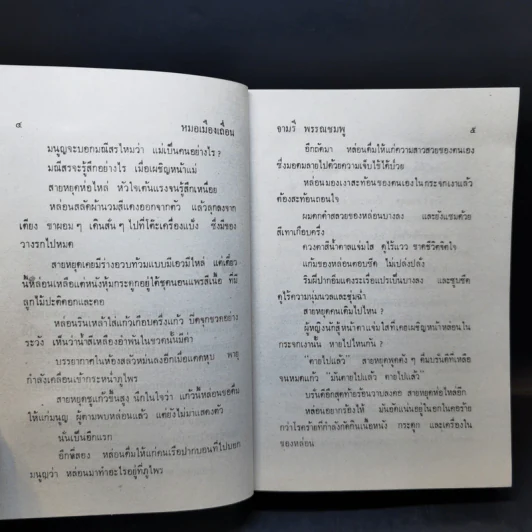 หมอเมืองเถื่อน - จามรี พรรณชมพู รูปที่ 10