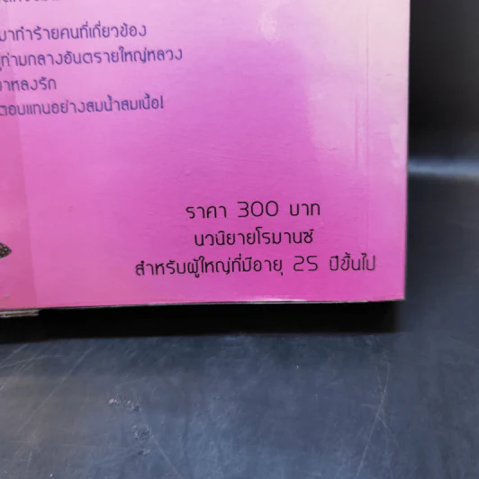 พลิกเกมร้ายล่าเกมรัก - พันดารา รูปที่ 12