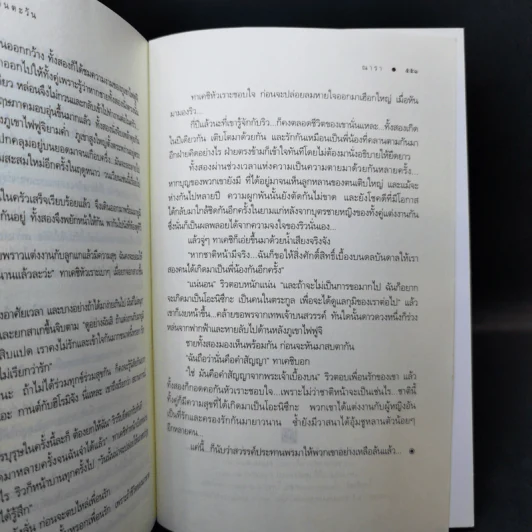 Rising Sun รอยรักหักเหลี่ยมตะวัน + สายเลือดแดนตะวัน + รอยฝันตะวันเดือด - ณารา รูปที่ 17