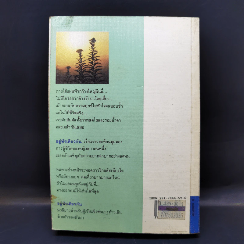 อยู่ฟ้าเดียวกัน - ว.วินิจฉัยกุล รูปที่ 2