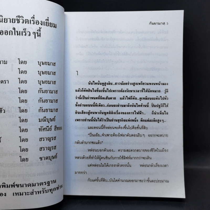 ลานไพลิน 2 เล่มจบ - กันยามาส รูปที่ 8