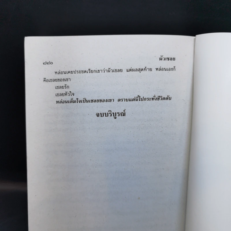 ผัวเชลย - จามรี พรรณชมพู รูปที่ 11