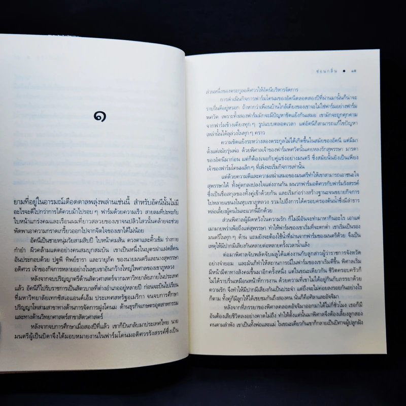 ดวงใจอัคนี - ซ่อนกลิ่น รูปที่ 11