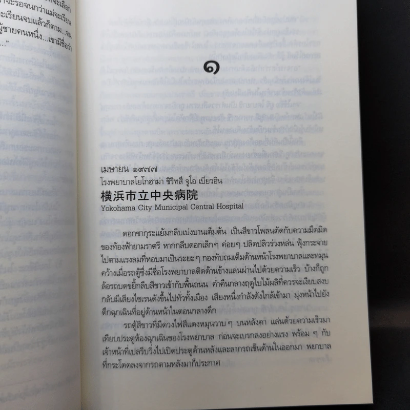 Rising Sun รอยรักหักเหลี่ยมตะวัน + สายเลือดแดนตะวัน + รอยฝันตะวันเดือด - ณารา รูปที่ 13
