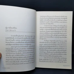ในสวนแปลกหน้า - เพเทอร์ สตัม รูปที่ 10