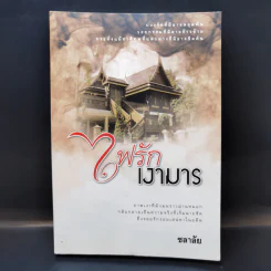ไฟรักเงามาร - ชลาลัย รูปที่ 1