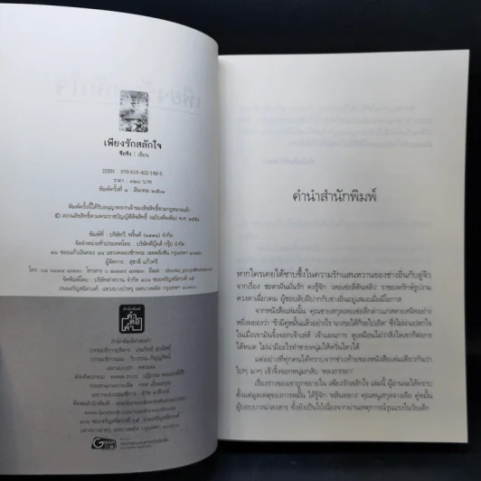 เพียงรักสลักใจ - ซือซิง รูปที่ 8