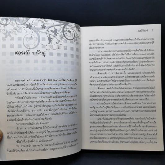 พันธะเถื่อน - มณีจันท์ รูปที่ 9