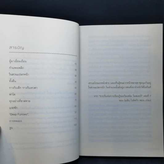 ในสวนแปลกหน้า - เพเทอร์ สตัม รูปที่ 9