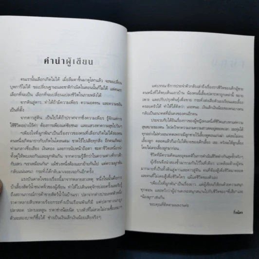 เพียงใจที่ผูกพัน - กิ่งฉัตร รูปที่ 9