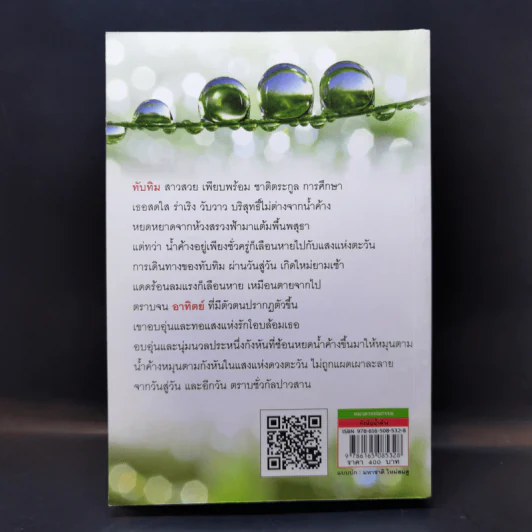 กังหันน้ำค้าง - นาวิกา รูปที่ 2