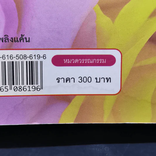 เพลิงรักเพลิงแค้น - นาวิกา รูปที่ 11