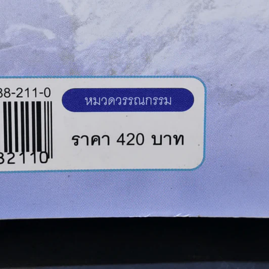 ไฟหิมะ - โสภี พรรณราย รูปที่ 11