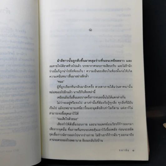 ไฟรักเงามาร - ชลาลัย รูปที่ 9