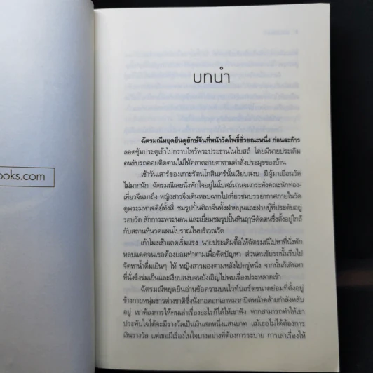มายานิรันดร์ - หัทยาวดี รูปที่ 9