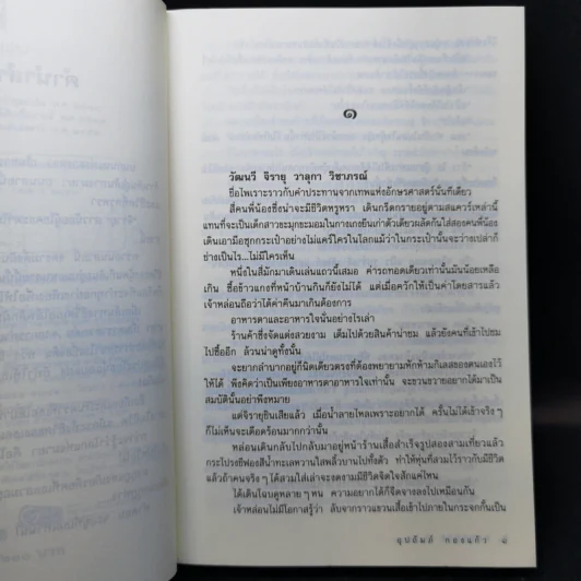 มงกุฎฟาง - อุปถัมภ์ กองแก้ว รูปที่ 9