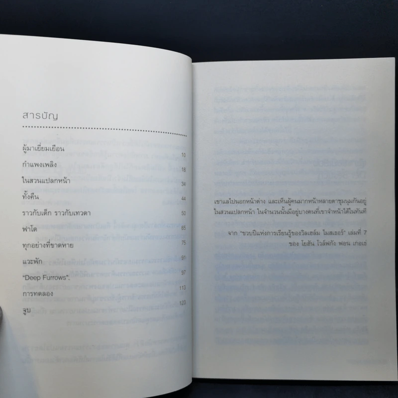 ในสวนแปลกหน้า - เพเทอร์ สตัม รูปที่ 9