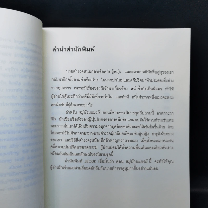 มิเกะเนะโกะ โฮล์มส์ : แมวสามสียอดนักสืบ ตอน 3 หมู่บ้านแมวผี รูปที่ 9