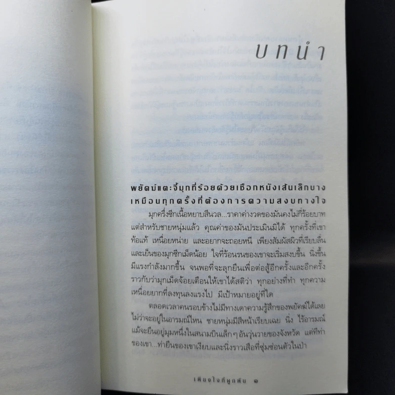 เพียงใจที่ผูกพัน - กิ่งฉัตร รูปที่ 10
