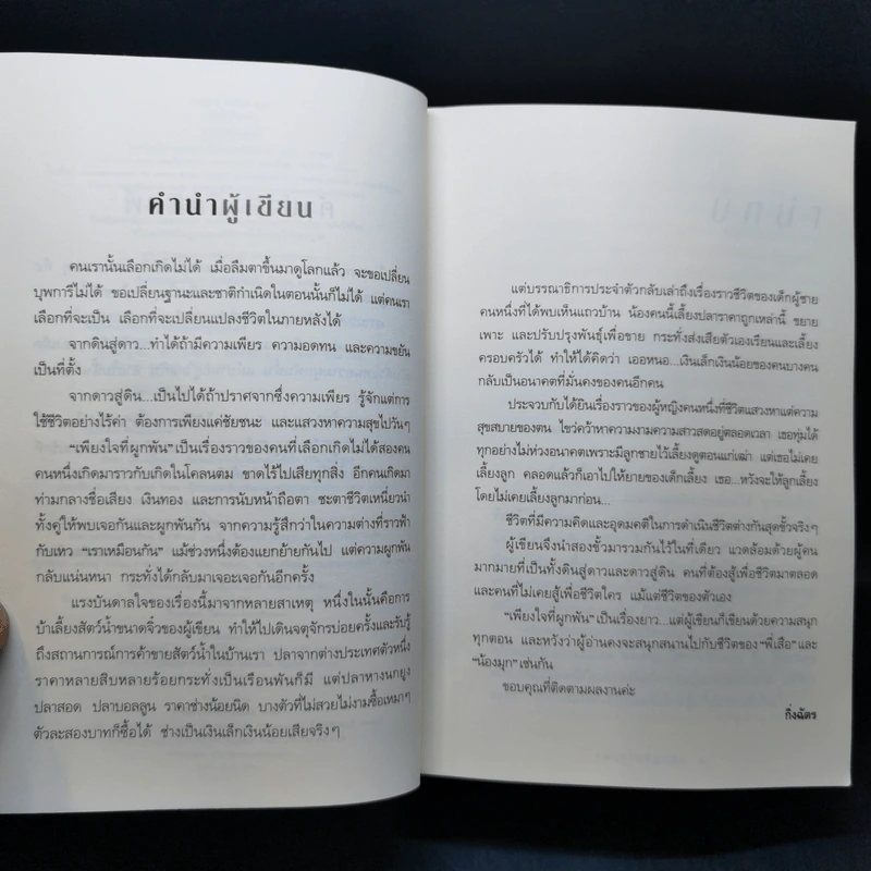 เพียงใจที่ผูกพัน - กิ่งฉัตร รูปที่ 9