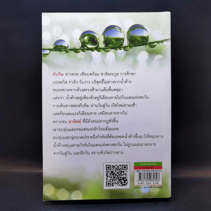 กังหันน้ำค้าง - นาวิกา รูปที่ 2
