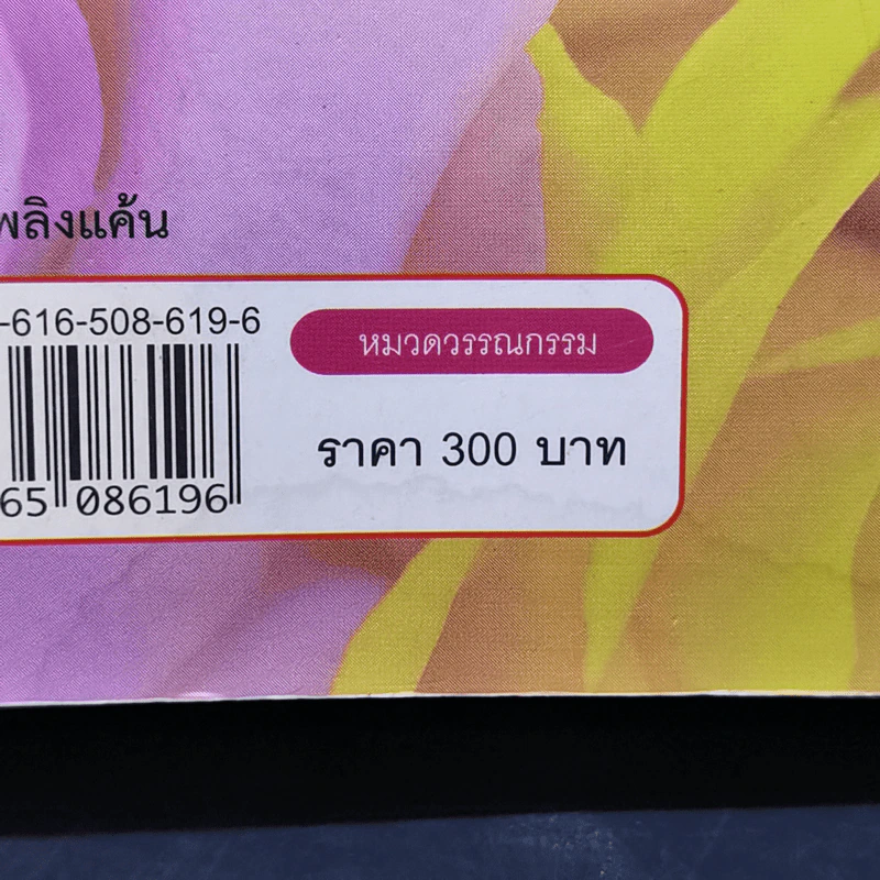 เพลิงรักเพลิงแค้น - นาวิกา รูปที่ 11