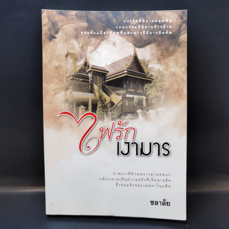 ไฟรักเงามาร - ชลาลัย รูปที่ 1