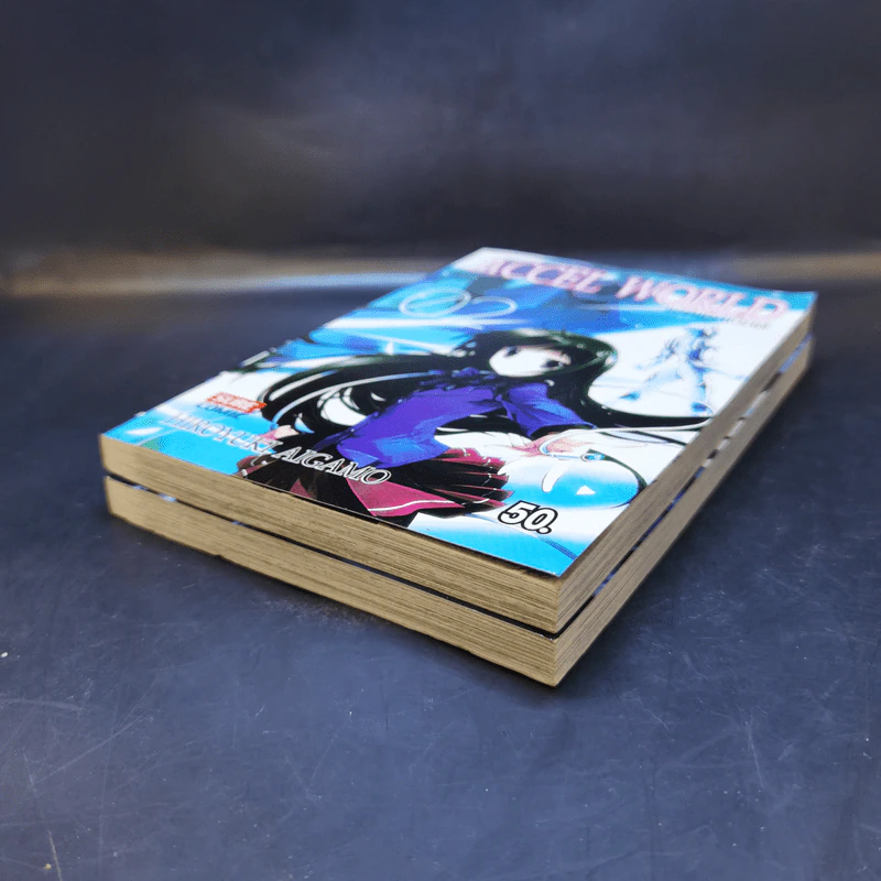 Accel World แอคเซล เวิลด์ เล่ม 1-2 รูปที่ 7