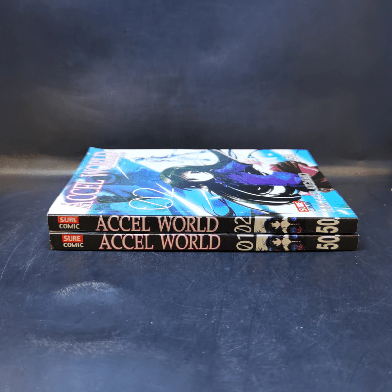 Accel World แอคเซล เวิลด์ เล่ม 1-2 รูปที่ 3