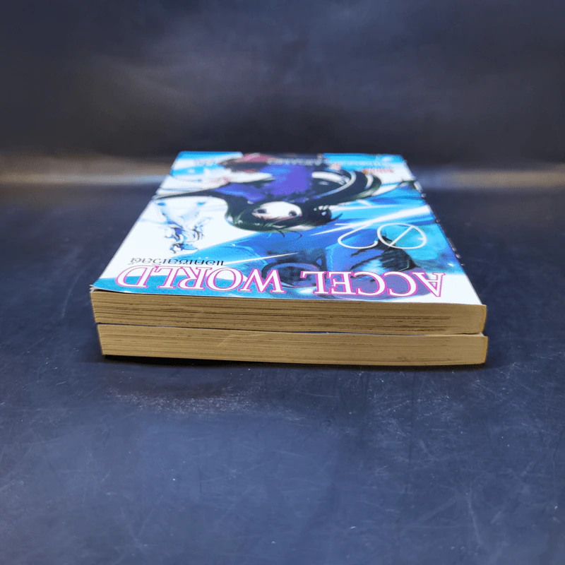 Accel World แอคเซล เวิลด์ เล่ม 1-2 รูปที่ 6