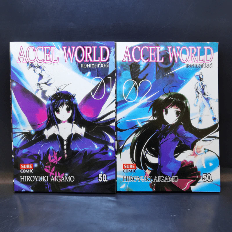 Accel World แอคเซล เวิลด์ เล่ม 1-2 รูปที่ 1
