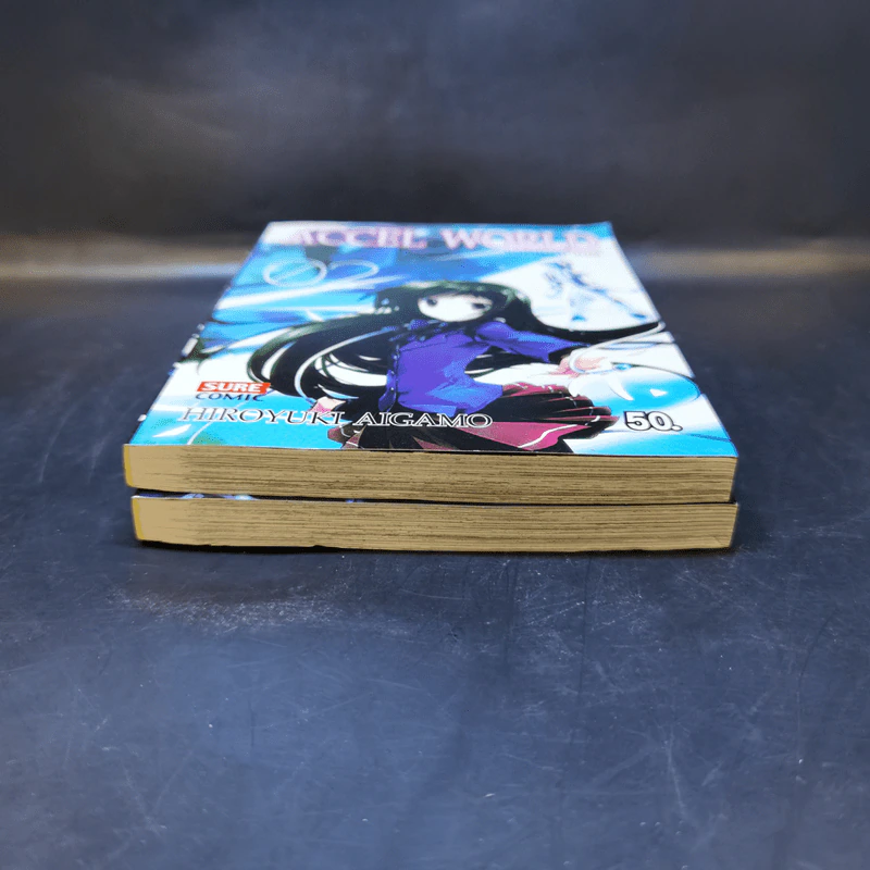 Accel World แอคเซล เวิลด์ เล่ม 1-2 รูปที่ 4
