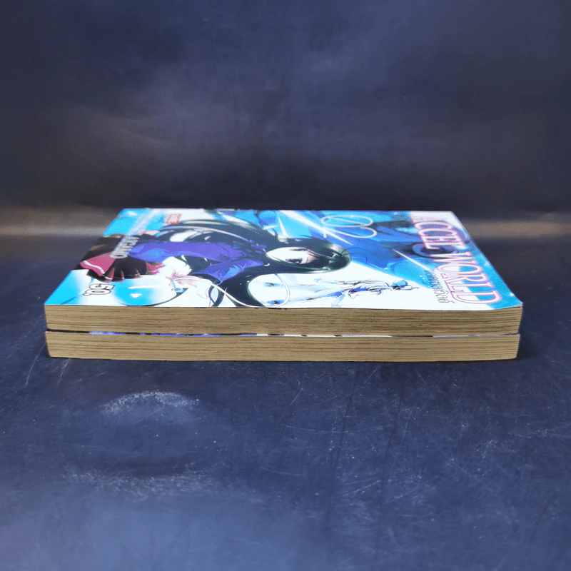 Accel World แอคเซล เวิลด์ เล่ม 1-2 รูปที่ 5