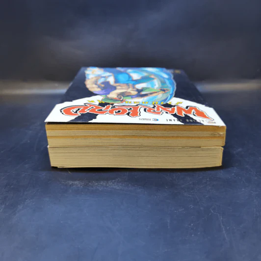 Warlord จ้าวนักรบกลียุค เล่ม 1-2 รูปที่ 6