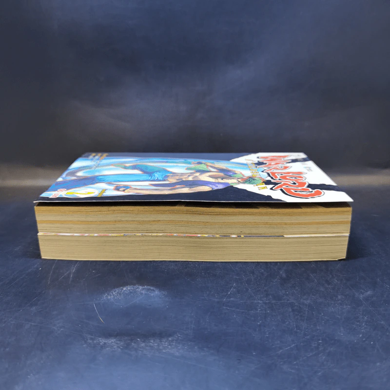 Warlord จ้าวนักรบกลียุค เล่ม 1-2 รูปที่ 5