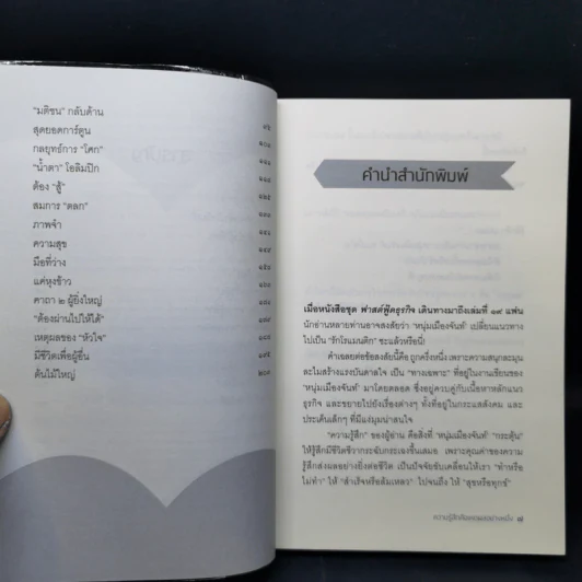 ความรู้สึกคือเหตุผลอย่างหนึ่ง - หนุ่มเมืองจันท์ รูปที่ 9