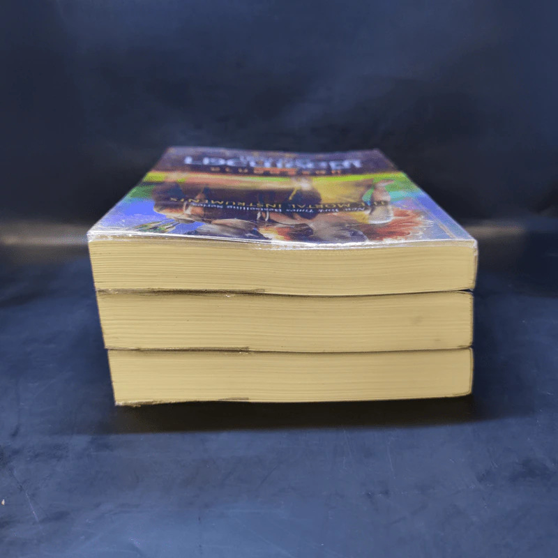 นครรัตติกาล เล่ม 2,4,5 - Cassandra Clare (คาสซานดรา แคลร์) รูปที่ 5