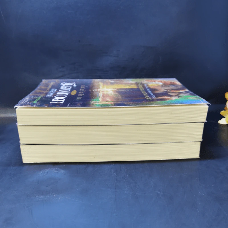 นครรัตติกาล เล่ม 2,4,5 - Cassandra Clare (คาสซานดรา แคลร์) รูปที่ 4