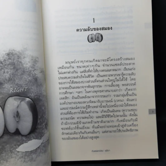 เดอะท็อปซีเคร็ต II - ทันตแพทย์สม สุจีรา รูปที่ 11