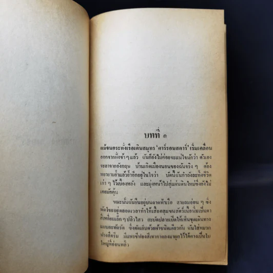 เงาเสือ - วิคทอเรีย โฮลท์ รูปที่ 10