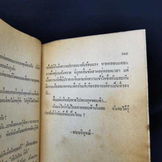 เงาเสือ - วิคทอเรีย โฮลท์ รูปที่ 11